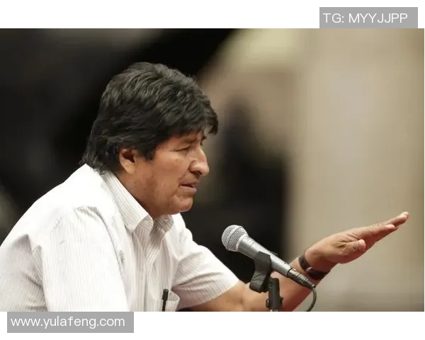 赖斯的崛起与挑战：探讨其在国际政治中的影响力与未来发展方向